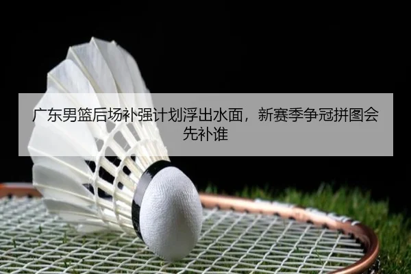广东男篮后场补强计划浮出水面，新赛季争冠拼图会先补谁